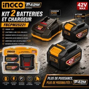 KIT 2 BATTERIES ET CHARGEUR INGCO 42V FBCPM25221